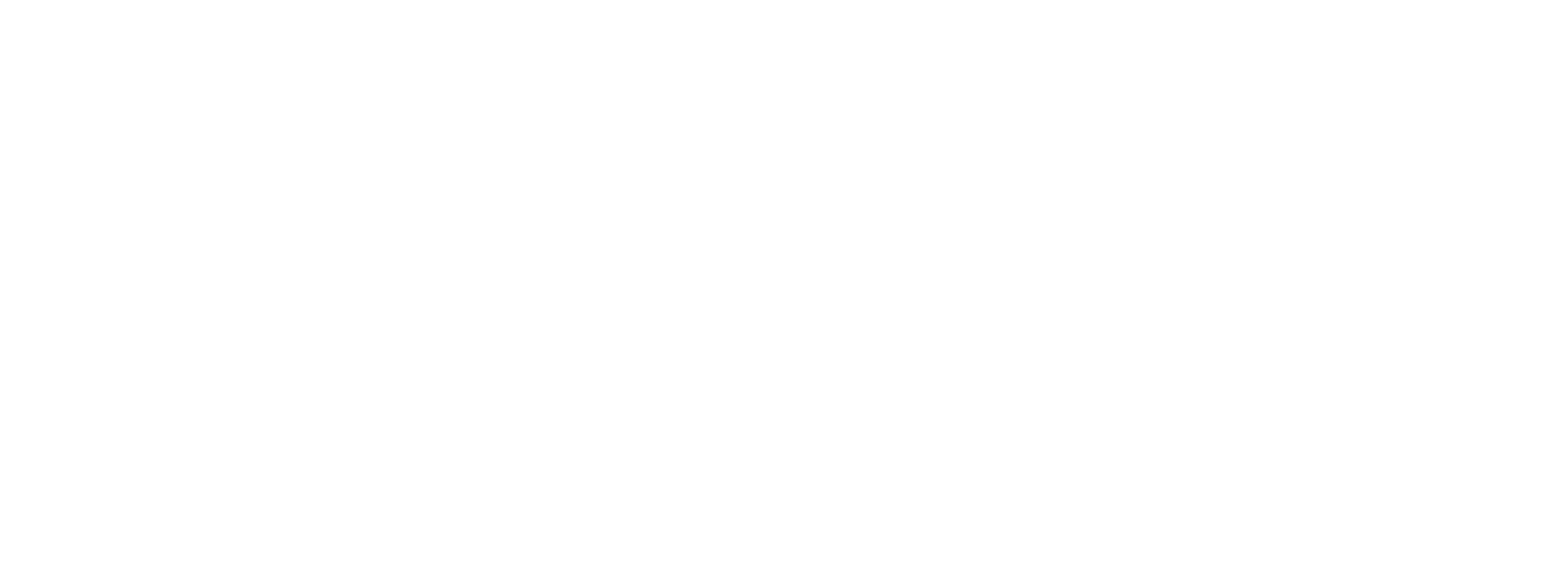 AMMServices